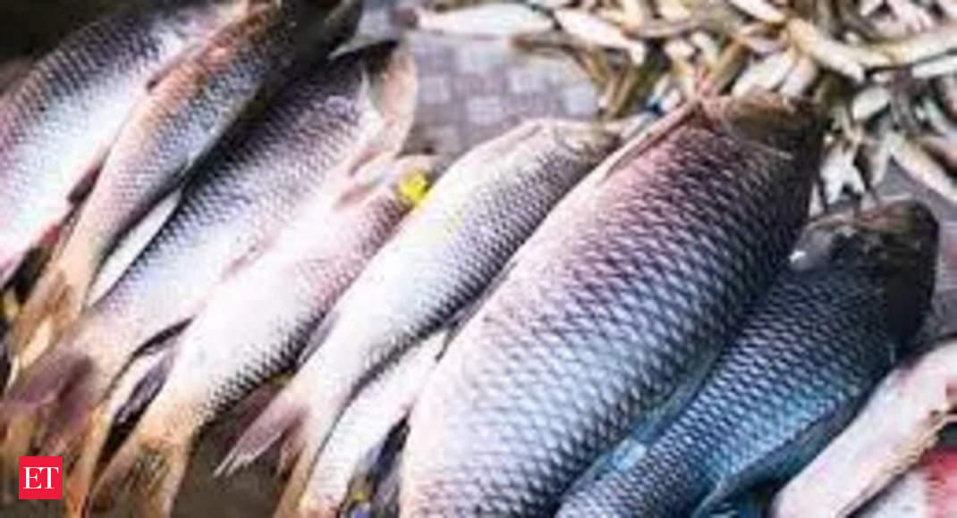 Indian fisheries sectors should deploy more scientific methods of production: Parshottam Rupala thumbnail