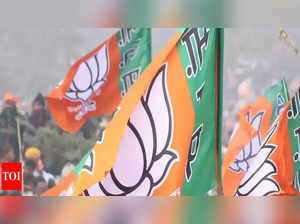 Uttar Pradesh polls: BJP list for 1st phase awaits top brass nod