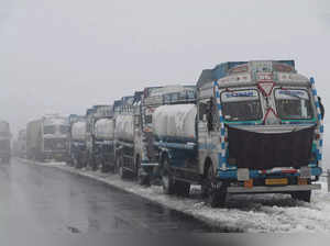 Trucks stranded at Srinagar-Jammu National highway