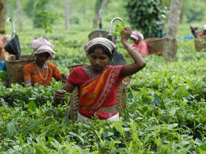 Assam: Trade Unions find fault with way of seeking comments on Tea Bill