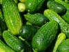 India is world's top exporter of cucumber and gherkins