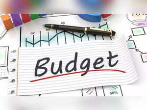 Industries expect booster shots of impetus, incentives from union budget