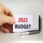Budget will have to find a balance between capital spending and borrowing:Image