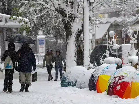 ​Schools, offices shut