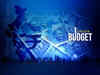ET Online Survey: Top talking points ahead of another pandemic Budget