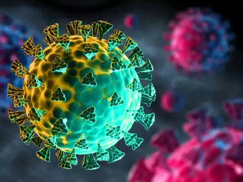 ​Omicron causes more asymptomatic carriers