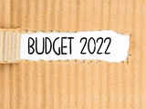 Budget 2022 is the middle piece of a 3-stage fiscal intervention: Here's how