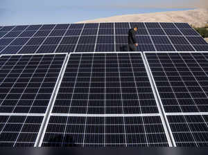 A worker walks near solar panels, which are one of the sustainable energy options that help olive farmers, in Mosul