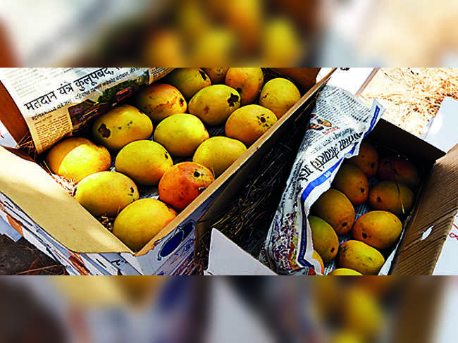 Mangopoint provides a sustainable integrated value chain for mangoes