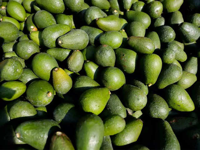 US Suspends Mexican Avocado Imports on Eve of Super Bowl