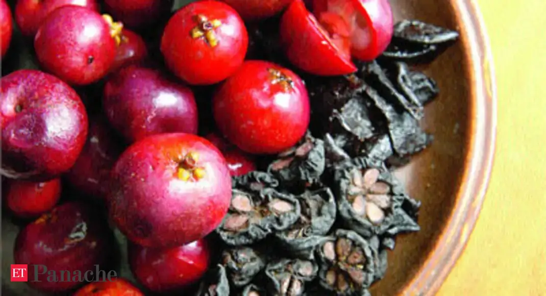 Konkan's Kokum The 'Kool King' of Indian fruits The Economic Times
