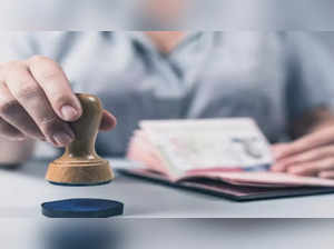 Visa applications received in India more than doubled in November: VFS Global