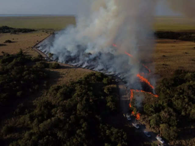 Wildfire in Northern Argentina