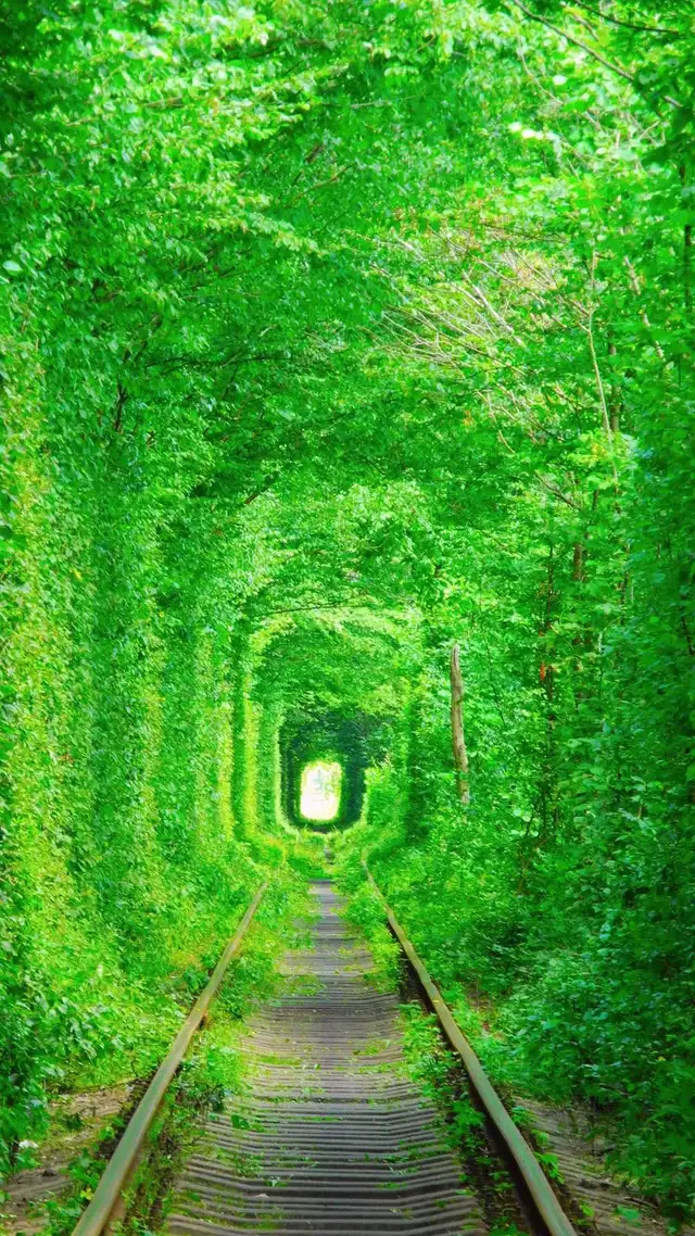 Castle 10 mustsee places in Ukraine The