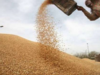 Govt pegs wheat procurement at record 444 lakh tonnes in 2022-23 mkt year