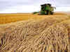 Ukraine crisis: War in world's breadbasket has big buyers hunting for wheat
