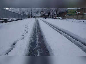 The 270 km Jammu-Srinagar national highway is the only all-weather road linking Kashmir with the rest of the country.