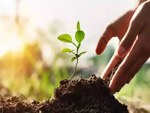 Experience in the field