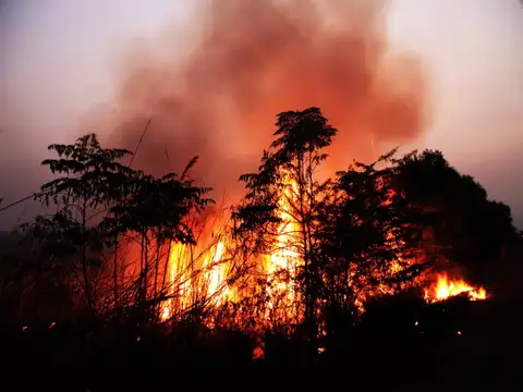 Firefighters work overnight
