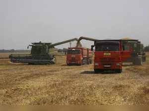 Russia Ukraine War Wheat