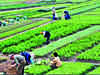 Agri Min ready with new scheme to promote natural farming; to seek cabinet nod soon