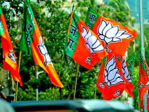 Assam: BJP leads in Majuli assembly by-election