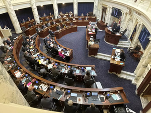 Idaho abortion bill: Idaho passes new bill to ban abortion - The ...