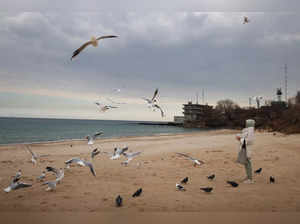 Irina Porodinskaya, feeds the seagulls at the Sobachyy beach on the Black Sea, as Russia's invasion of Ukraine continues, in Odessa