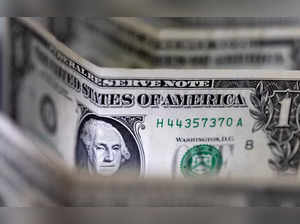 FILE PHOTO: Illustration shows U.S. dollar banknotes
