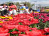 Kashmir's tulip garden is open to public