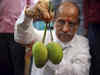 Alphonso mango farmers from Konkan partner with food and tech platform Innoterra