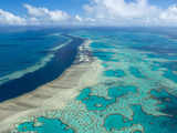 Australia declares 'mass bleaching' at Great Barrier Reef