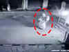 J&K: Burqa clad woman hurls petrol bomb at a CRPF camp in Sopore district