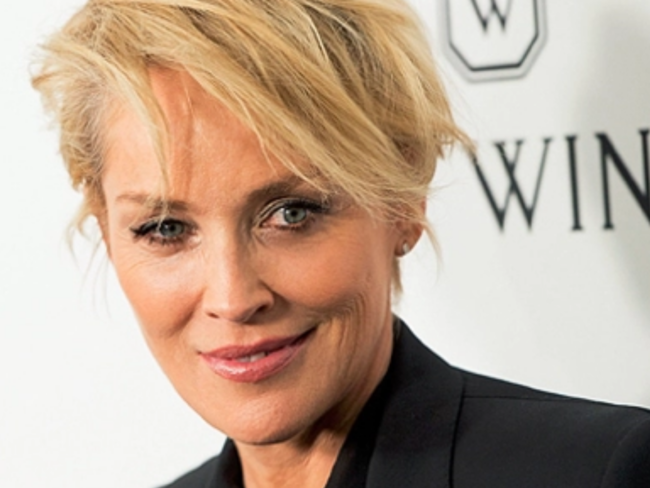 Dc Universe Sharon Stone Returns To Dc Universe After 18 Years To Play Antagonist In Upcoming Film Blue Beetle The Economic Times