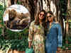 Social entrepreneur Upasana Kamineni Konidela adopts two lions at Nehru Zoological Park in Hyderabad