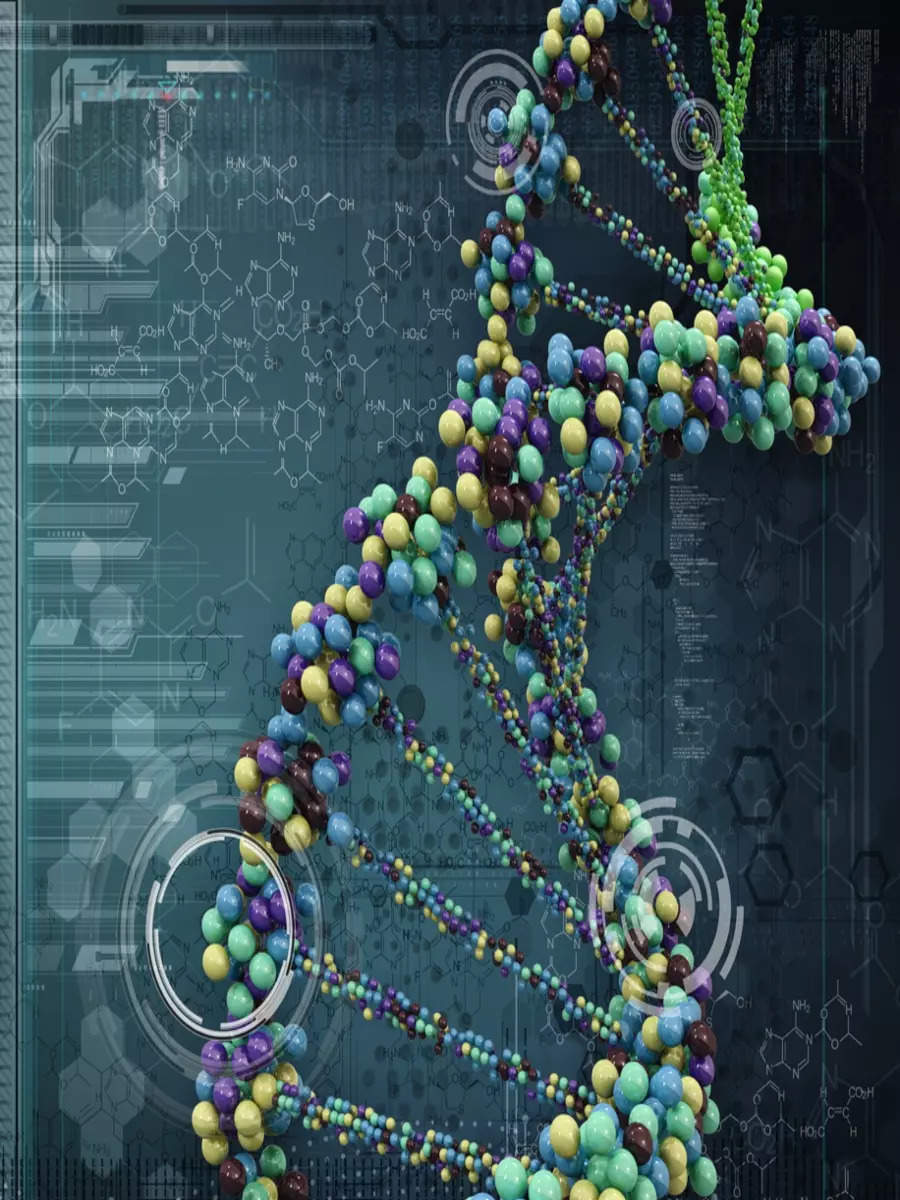 Human Genome Complete Human Genome Unveiled For First Time