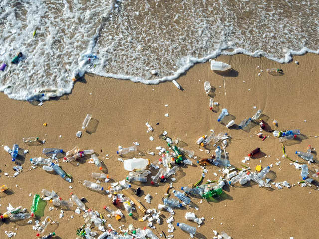 ​Plastic waste import ban in 2019