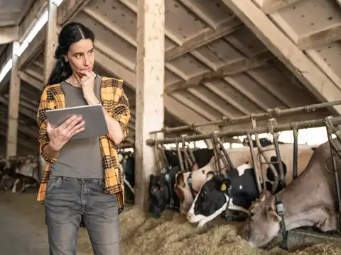 ​Growing demand for livestock products