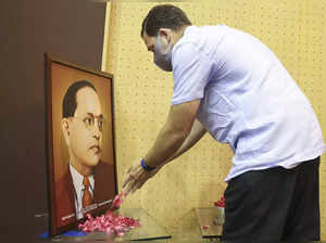 Rahul Gandhi pays tribute to Dr Bhimrao Ambedkar
