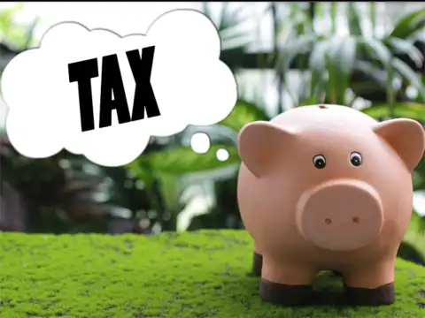 Tax benefits of investing in PPF