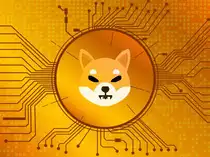 Shiba Inu rallies 30% in 24 hours; can this meme coin tu a multibagger?