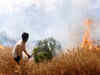 Domestic wheat prices up by 5-7% on fears of fall in production due to heat damage