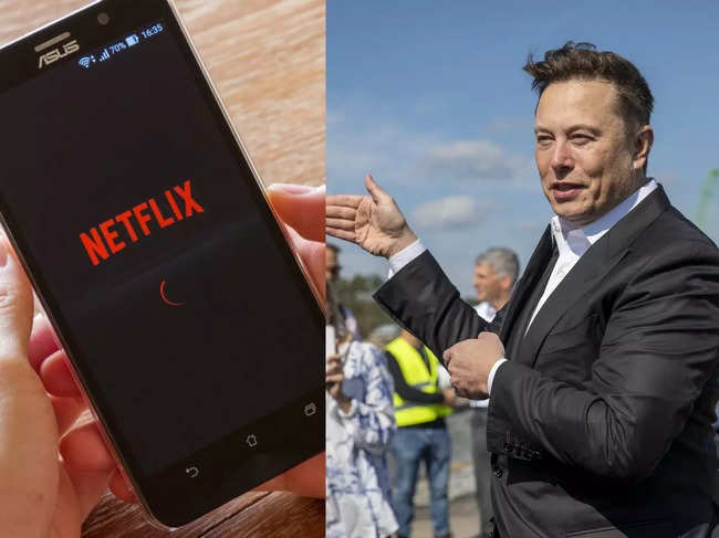 Netflix Elon Musk