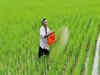 Agriculture absorbed additional 11 million workers over last 3 years: CMIE
