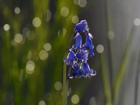 Natural attraction