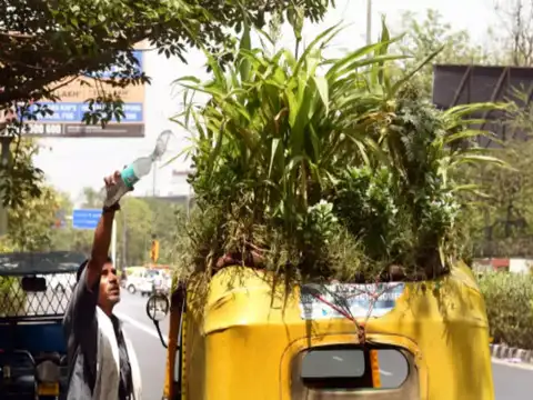 ​How he grew his garden