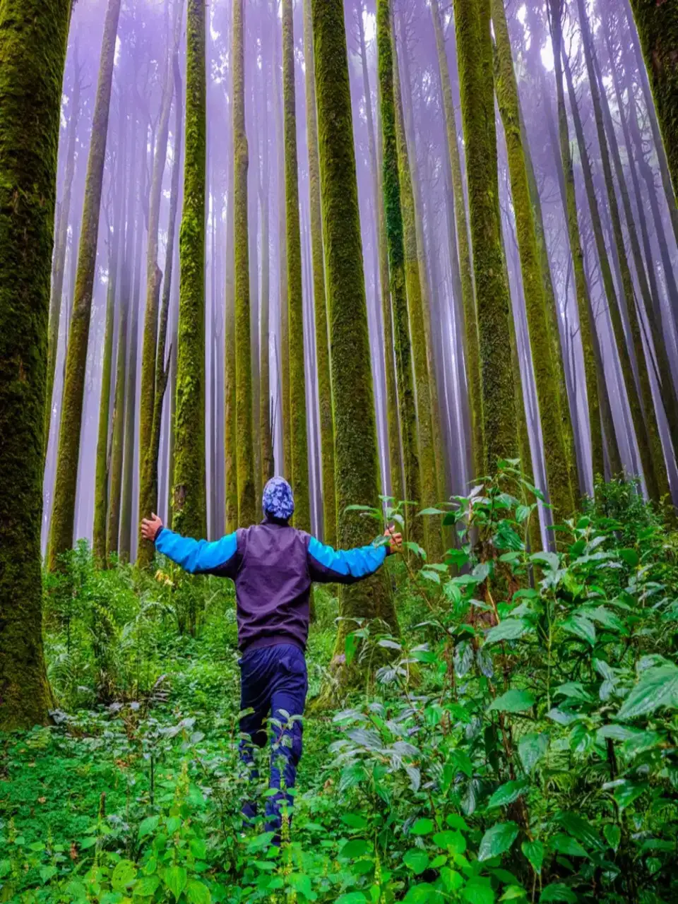 cae様 Forest wrapped in silence 静かな森のリース Arashiyama Bamboo