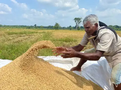 ​Fertiliser ban