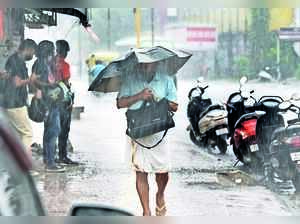 Monsoon Likely to Arrive Early This Year: Met Dept