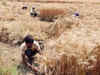 Restriction on agricultural exports 'indirect tax' on farmers: Bharat Krishak Samaj